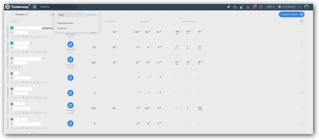интерфейс топвизор